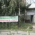 Алена